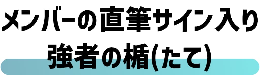 メンバーの直筆サイン入り強者の楯(たて)