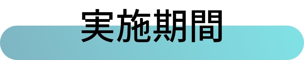 実施期間